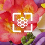 flower wallpaper hd android application logo